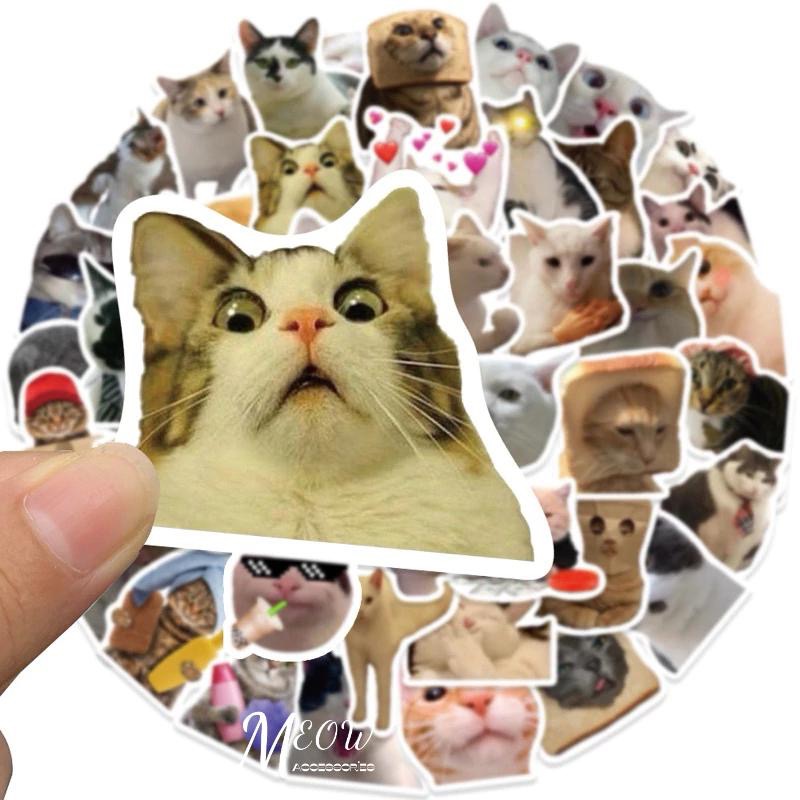 Meow acc【台灣現貨】寫實貓貓狗狗貼紙 ins風貼紙 搞笑貓咪貼紙 裝飾貼紙 行李箱裝飾 筆記本裝飾 可愛貓咪-細節圖2
