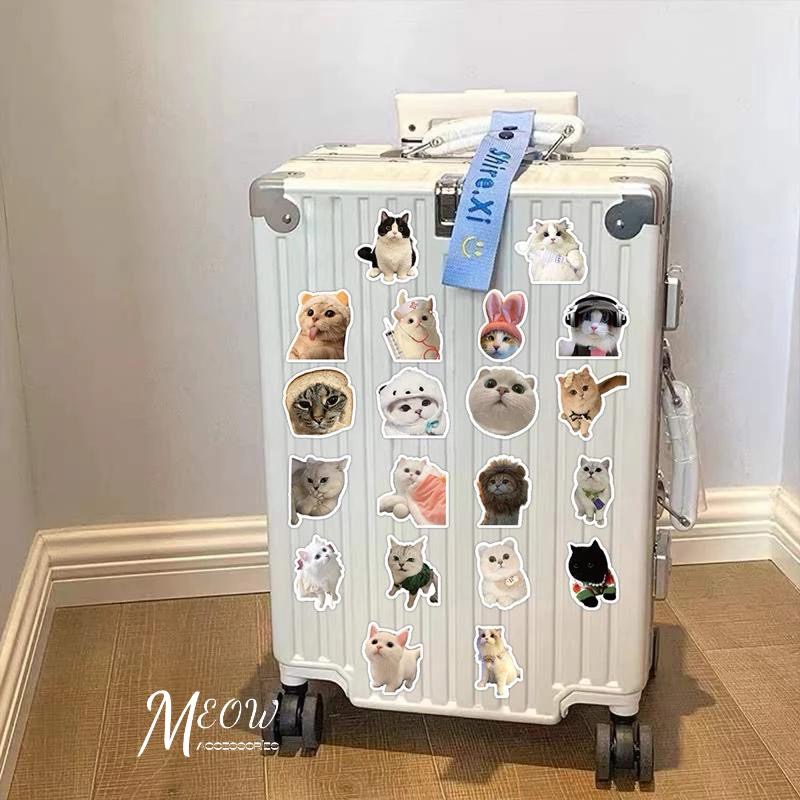 Meow acc【台灣現貨】寫實貓貓狗狗貼紙 ins風貼紙 搞笑貓咪貼紙 裝飾貼紙 行李箱裝飾 筆記本裝飾 可愛貓咪-細節圖7