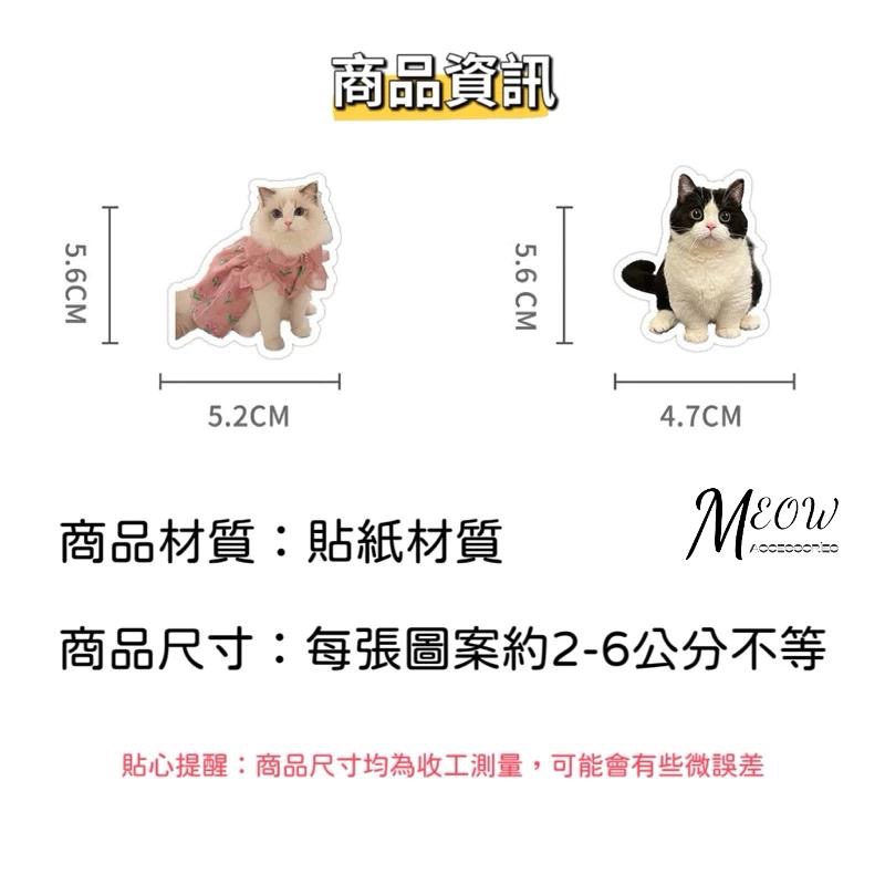 Meow acc【台灣現貨】寫實貓貓狗狗貼紙 ins風貼紙 搞笑貓咪貼紙 裝飾貼紙 行李箱裝飾 筆記本裝飾 可愛貓咪-細節圖9