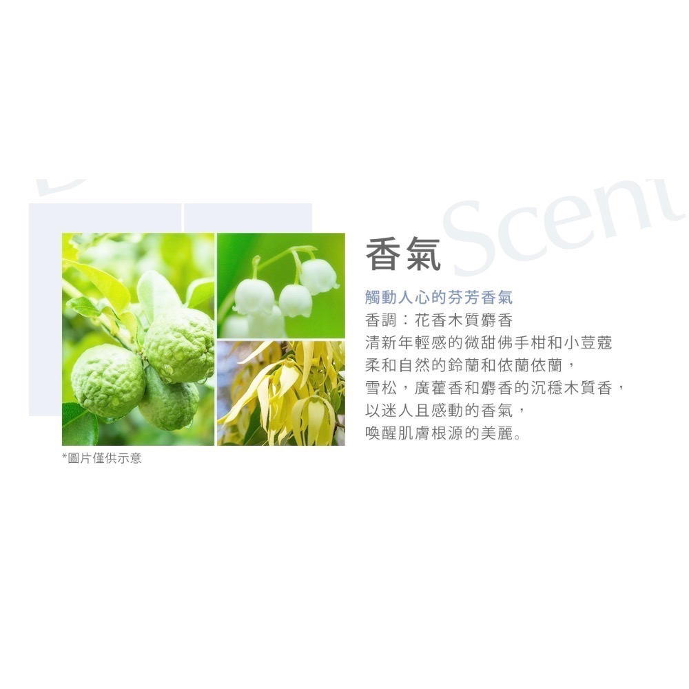 ALBION 妃思雅 保濕美肌活化液 28ml-細節圖3