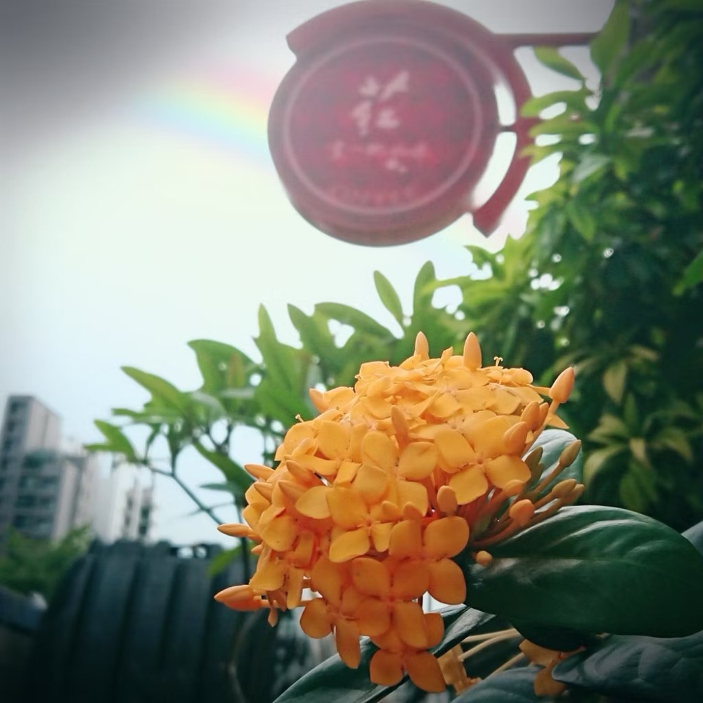 中秋咖啡禮盒/咖啡豆禮盒-細節圖2