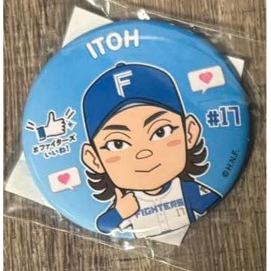 伊藤大海