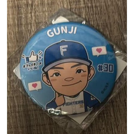 NPB 日本火腿鬥士 徽章-規格圖1
