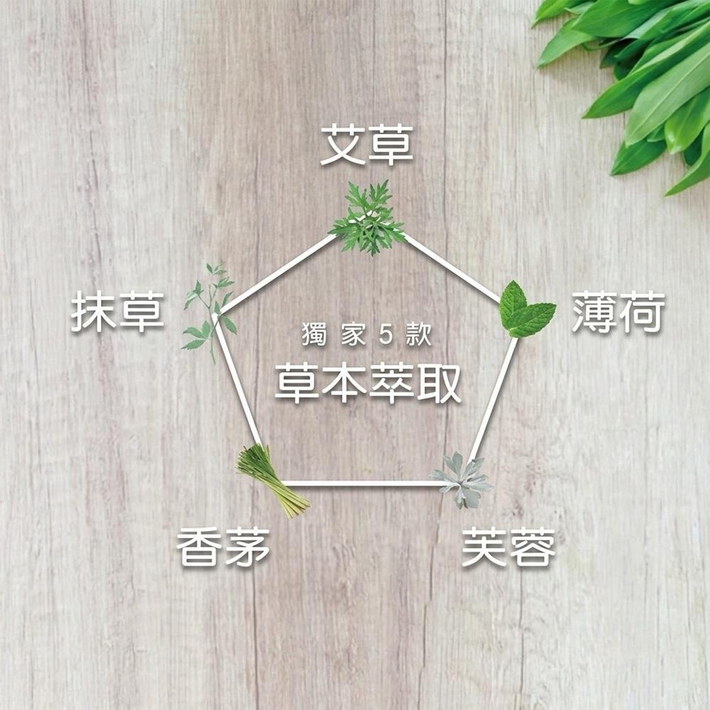 【HAPPY HOUSE】香茅薄荷平安淨身沐浴乳 1000ml(淨身除穢/草本香氣)-細節圖6