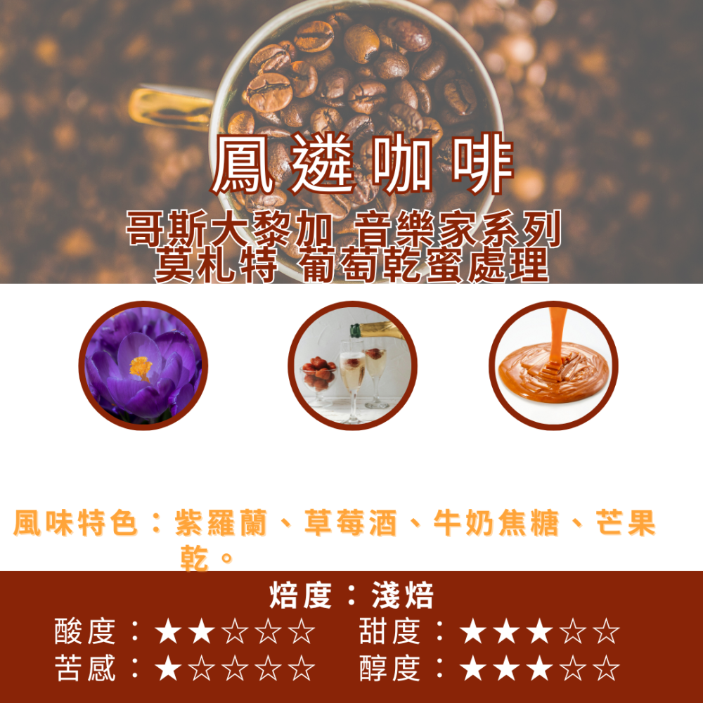 【HOT】哥斯大黎加 卡內特音樂家系列  莫札特  葡萄乾蜜處理【鳳遴咖啡】『現烘咖啡』-細節圖2