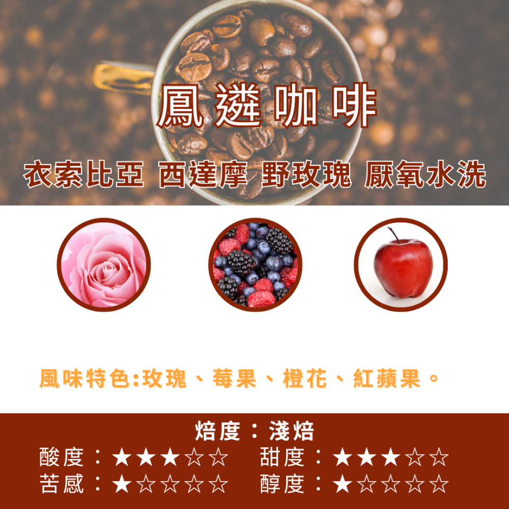 衣索比亞 西達摩野玫瑰  厭氧水洗【PhoenixCoffee鳳遴咖啡】『現烘咖啡』-細節圖2