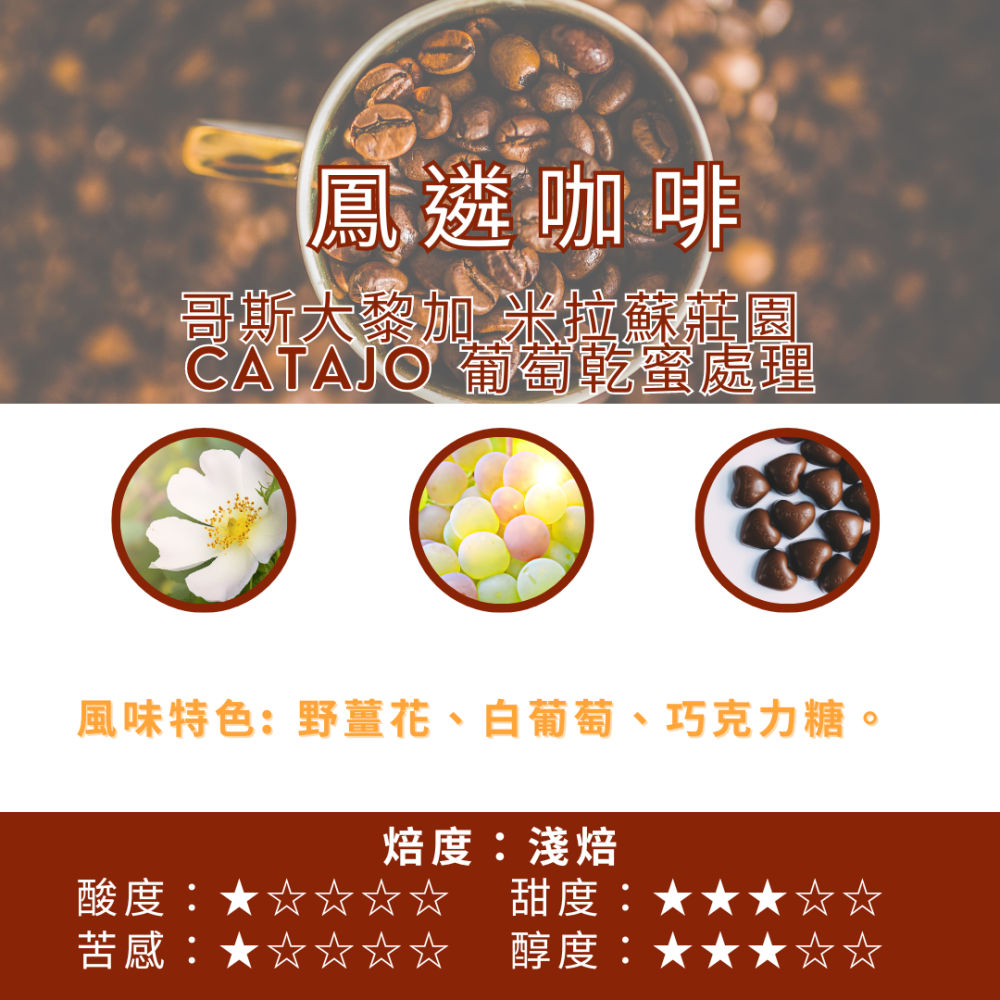 哥斯大黎加 米拉蘇莊園  Catajo 葡萄乾蜜處理【PhoenixCoffee鳳遴咖啡】『現烘咖啡』-細節圖2