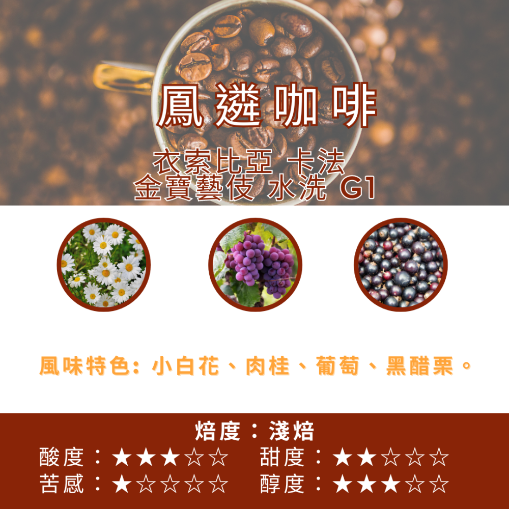 衣索比亞 卡法 金寶藝伎  水洗 G1【PhoenixCoffee鳳遴咖啡】『現烘咖啡』-細節圖2