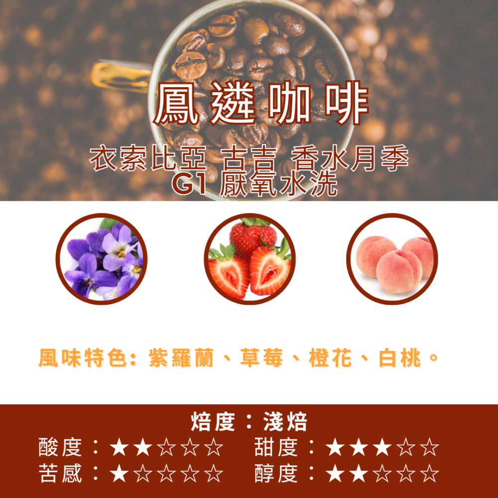衣索比亞 古吉 香水月季 G1  厭氧水洗【PhoenixCoffee鳳遴咖啡】『現烘咖啡』-細節圖2