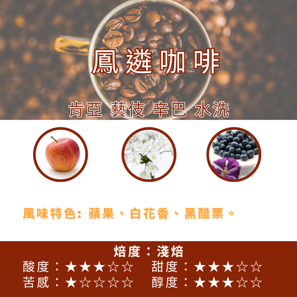 肯亞 藝伎 辛巴 水洗【PhoenixCoffee鳳遴咖啡】『現烘咖啡』-細節圖2