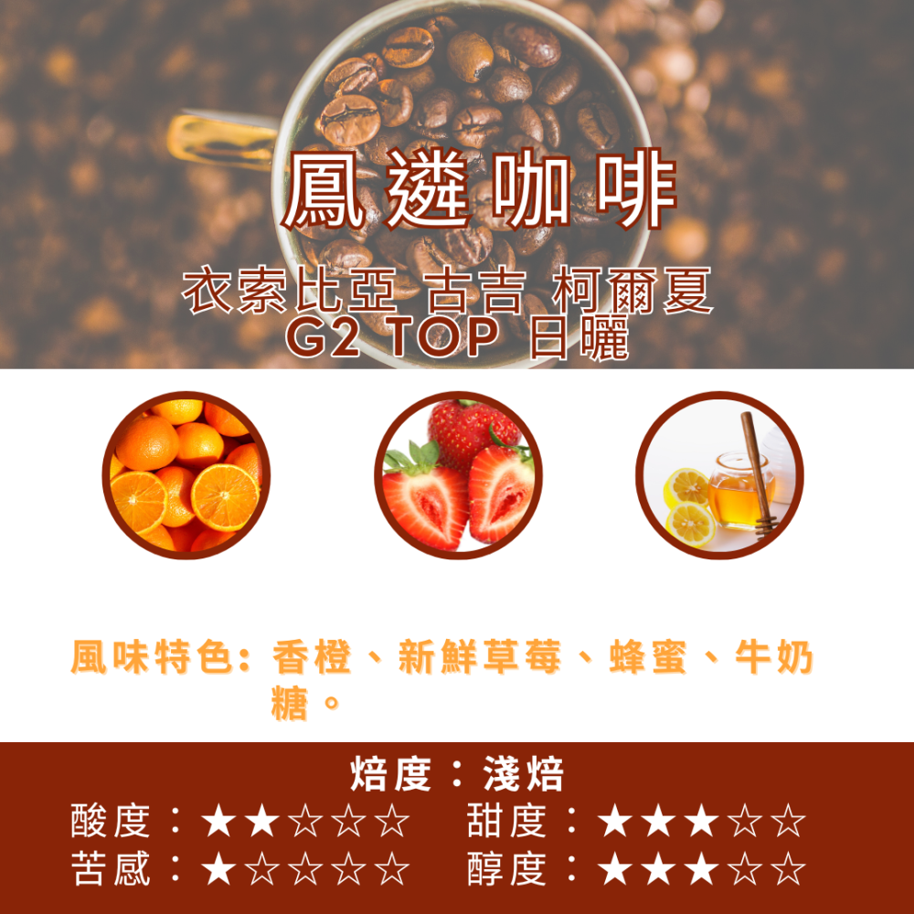 衣索比亞 古吉 柯爾夏 G2  TOP 日曬【PhoenixCoffee鳳遴咖啡】『現烘咖啡』-細節圖2