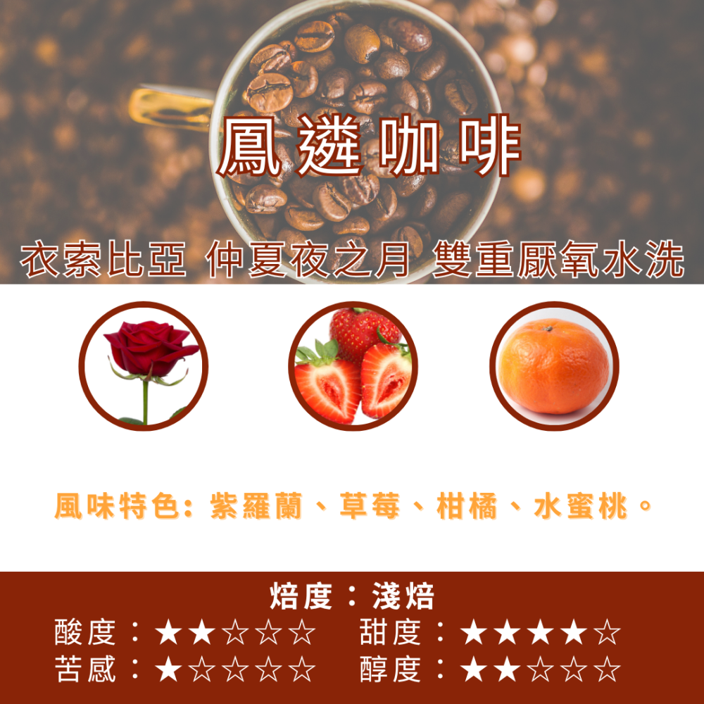 衣索比亞 仲夏夜之月 雙重厭氧水洗【PhoenixCoffee鳳遴咖啡】『現烘咖啡』-細節圖2