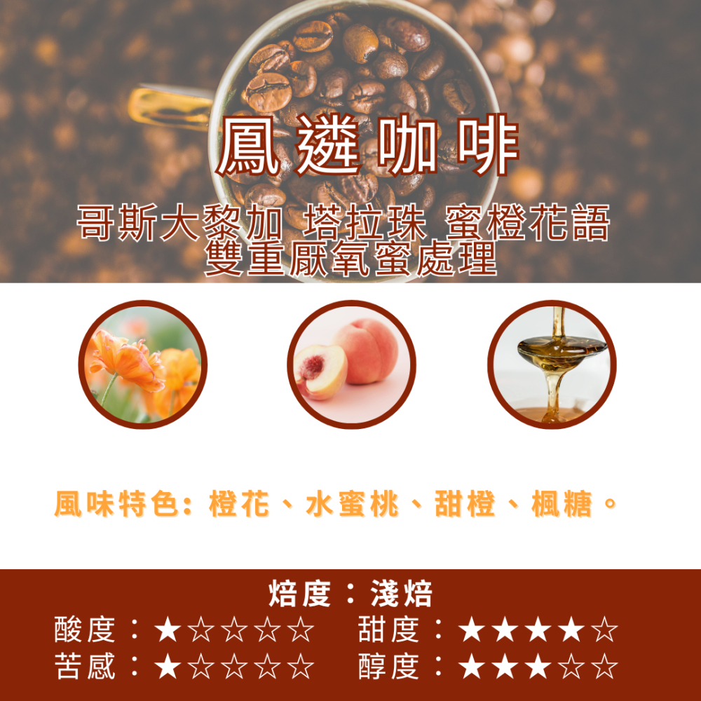 哥斯大黎加 塔拉珠 蜜橙花語 雙重厭氧蜜處理【PhoenixCoffee鳳遴咖啡】『現烘咖啡』-細節圖2