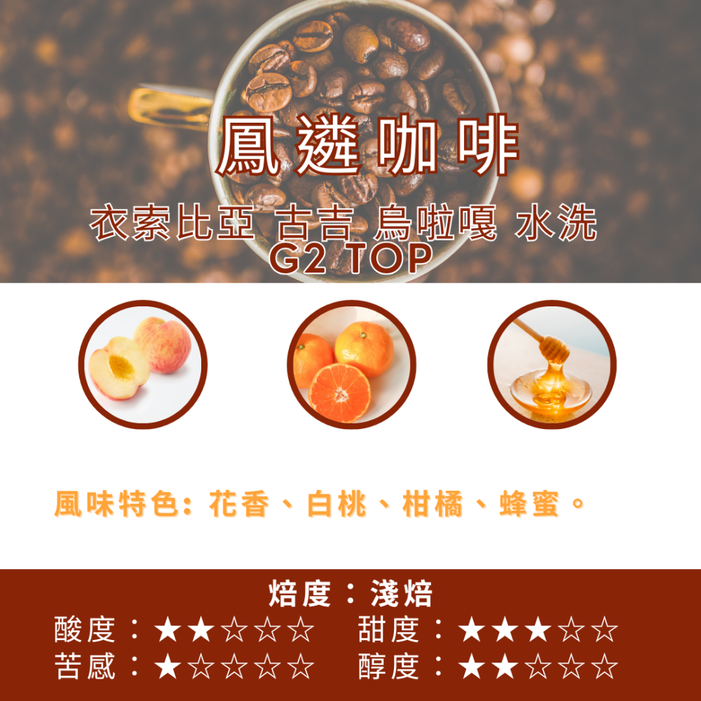 衣索比亞 古吉 烏啦嘎 水洗  G2 TOP【PhoenixCoffee鳳遴咖啡】『現烘咖啡』-細節圖2