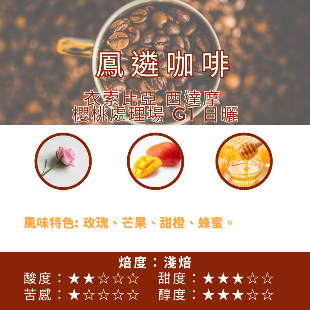 衣索比亞 西達摩 櫻桃處理場 G1 日曬【PhoenixCoffee鳳遴咖啡】『現烘咖啡』-細節圖2