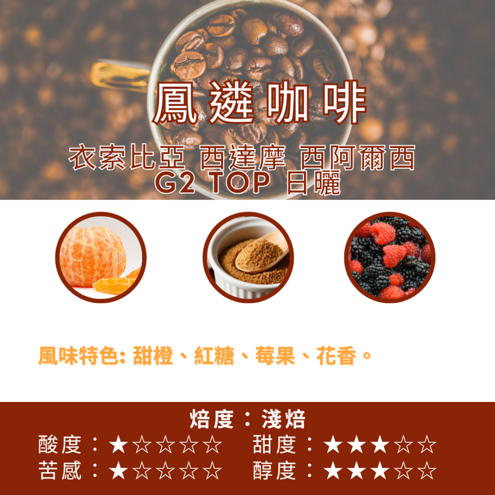 衣索比亞 西達摩 西阿爾西  G2 TOP 日曬  【PhoenixCoffee鳳遴咖啡】『現烘咖啡』-細節圖2
