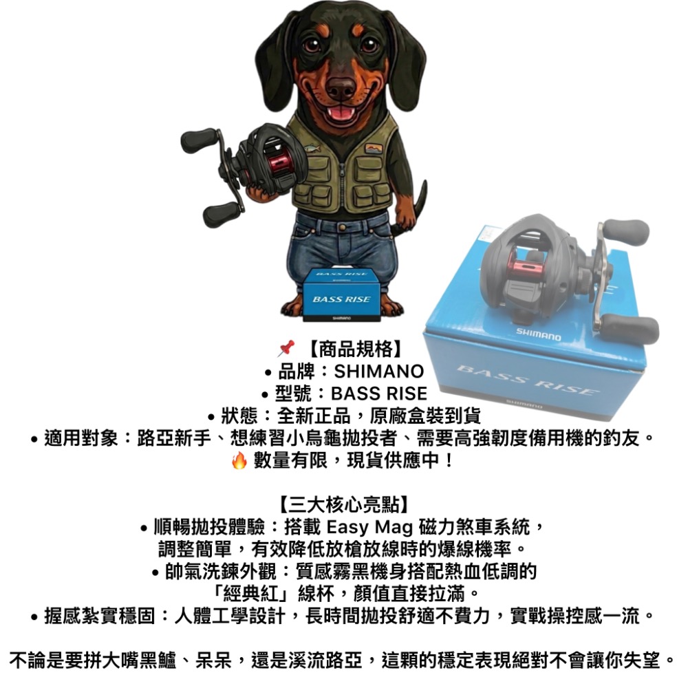 Shimano Bass rise 右手小烏龜 捲線器-細節圖2