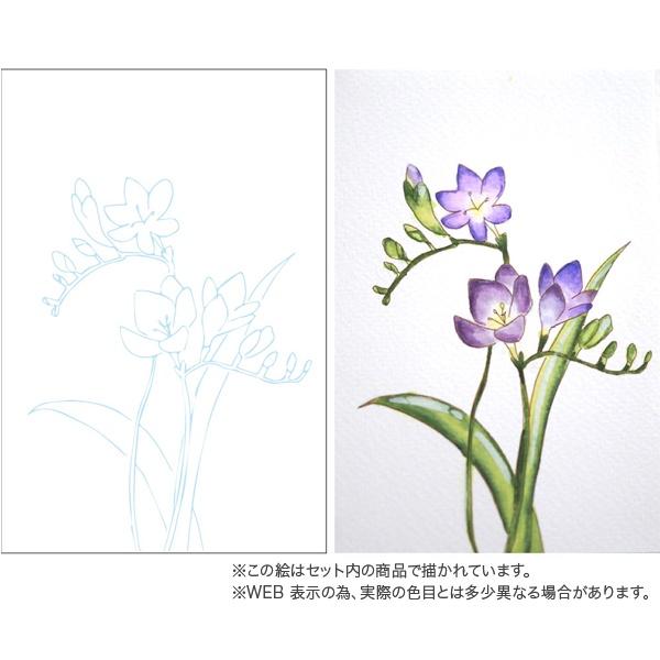 [日本精品] 吳竹 ZIG 繪畫水彩合輯 如何畫花卉篇 共三款 水彩 毛筆 各式技法  Kuretake-細節圖9