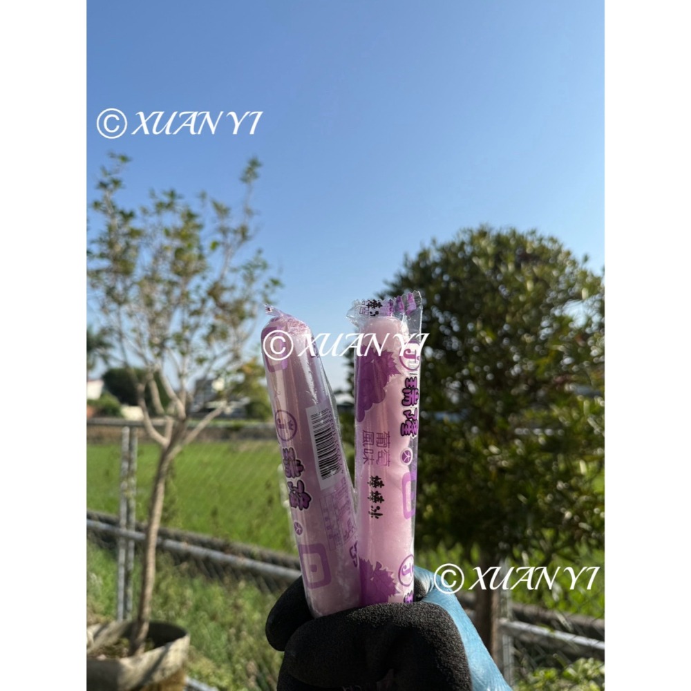（口冰口/瑞隆）古早味棒棒冰/香檳/葡萄/檸檬/沙士/橘子/兒時記憶好滋味/下單請按10下❗️❗️-細節圖5