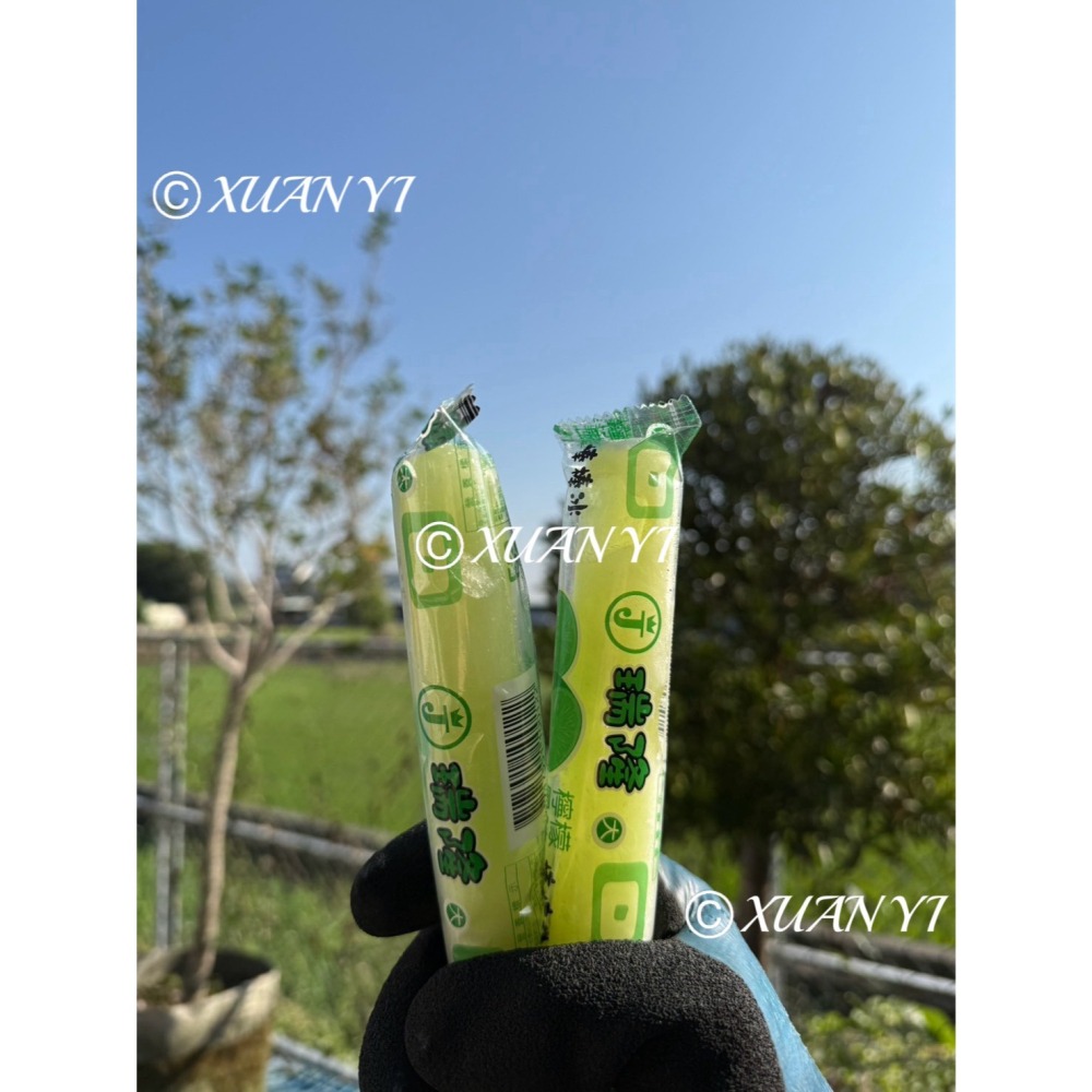 （口冰口/瑞隆）古早味棒棒冰/香檳/葡萄/檸檬/沙士/橘子/兒時記憶好滋味/下單請按10下❗️❗️-細節圖6