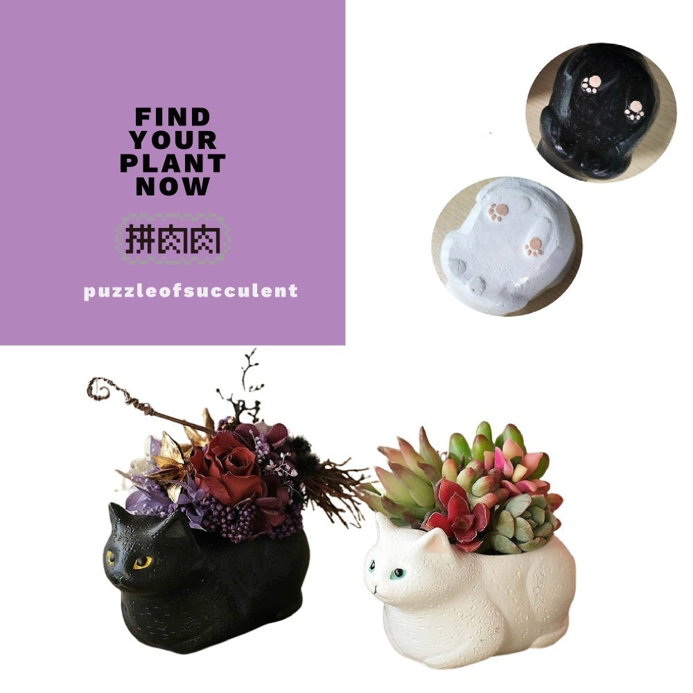 【肉肉動物園】黑白貓系專屬。日本進口創意動物花器，隨心佈置自己的動物花園-細節圖3