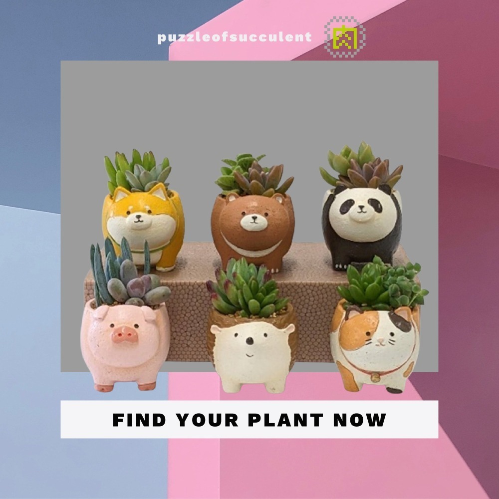 【肉肉動物園】柴柴站得穩：日本進口創意動物花器，隨心佈置自己的動物花園-細節圖3