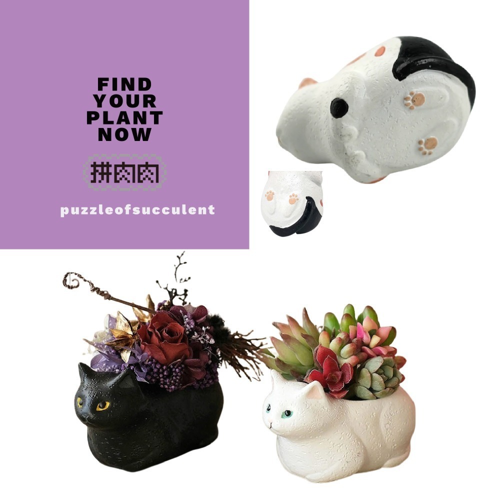 【肉肉動物園】三花貓，日本進口創意動物花器，隨心佈置自己的動物花園-細節圖3