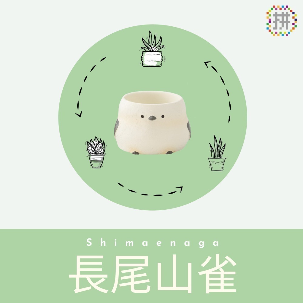 【肉肉動物園】六隻小鳥一次買足，隨心佈置自己的多肉動物花園-細節圖2