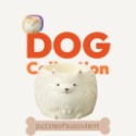 狗派新品【肉肉動物園】日本進口博美創意多肉花器-規格圖1