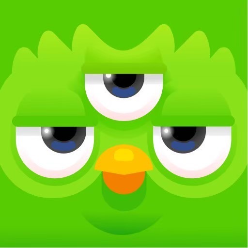 【現貨】貓頭鷹🦉Duolingo【多鄰國】學習技巧進階指南｜日文德文英文法文｜語言學習-細節圖3