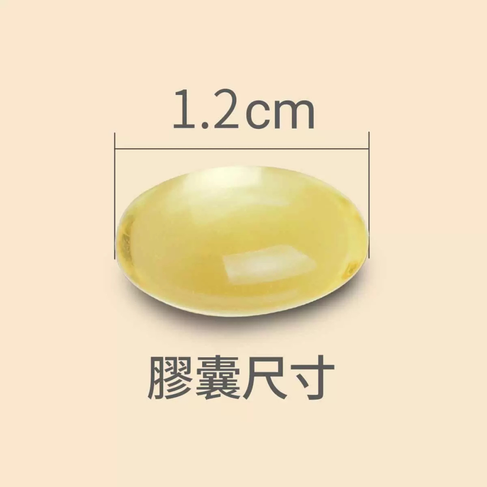 好市多代購(線上) #135606 澳佳寶 大蒜精 膠囊食品 90顆 X 3瓶-細節圖3