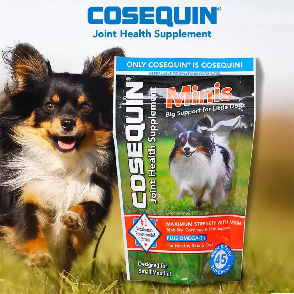 好市多代購(線上) #113430 NUTRAMAX 萃麥思 COSEQUIN MINIS 關健適小肉塊 犬用 45粒-細節圖3