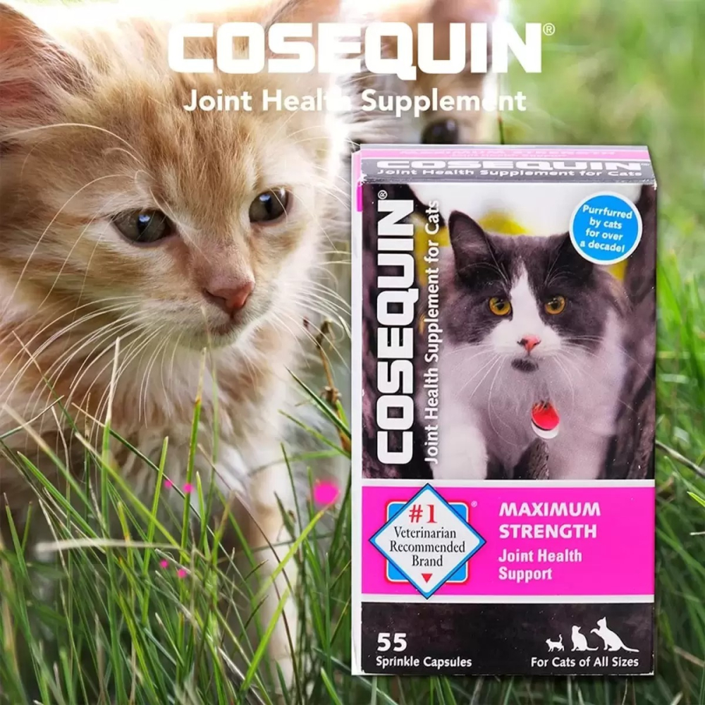 好市多代購(線上) #113429 NUTRAMAX 萃麥思 COSEQUIN 關健適 貓用 55粒-細節圖3