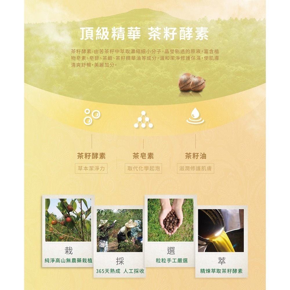 茶寶 潤覺茶🌱金萃植潤茶籽沐浴露／洗髮露／護髮素　【茶籽酵素、植萃精華、不含矽靈、溫和洗淨不刺激】-細節圖6