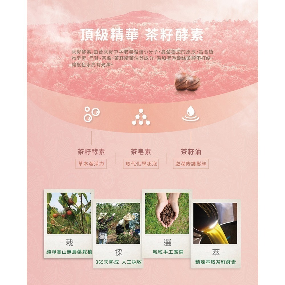 茶寶 潤覺茶🌱白薑花滋養沐浴露／洗髮露　【茶籽酵素、植萃精華、不含矽靈、溫和洗淨不刺激】-細節圖4