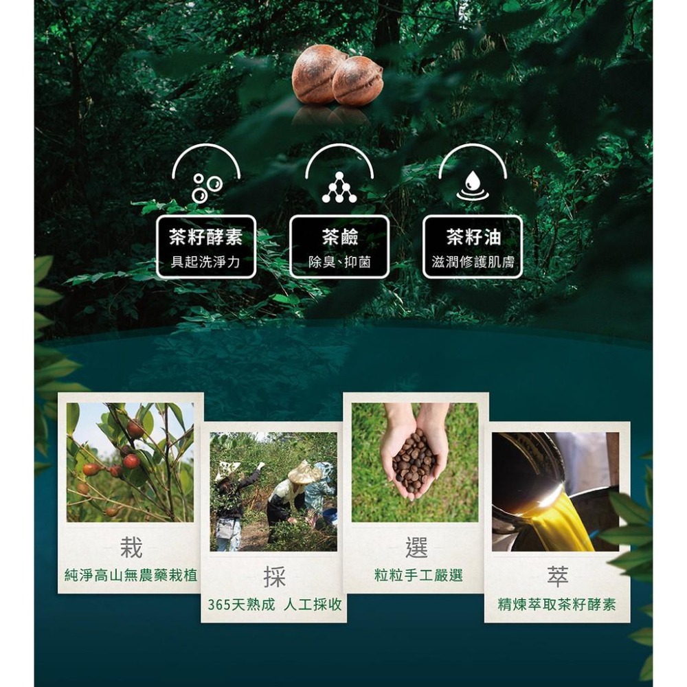 茶寶 淨覺茶🌱天然茶籽衛浴清潔液　500ml【茶籽酵素、植萃精華、不含矽靈、溫和洗淨不刺激】-細節圖3