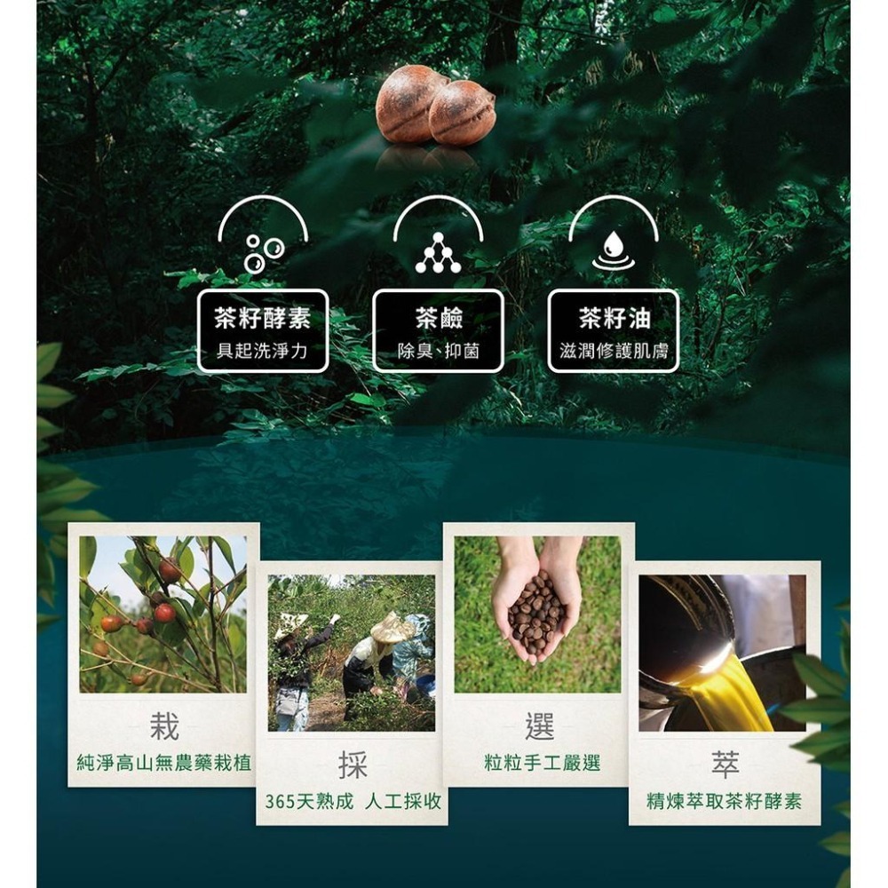 茶寶 淨覺茶🌱天然茶籽地板清潔液　500ml【茶籽酵素、植萃精華、不含矽靈、溫和洗淨不刺激】-細節圖3