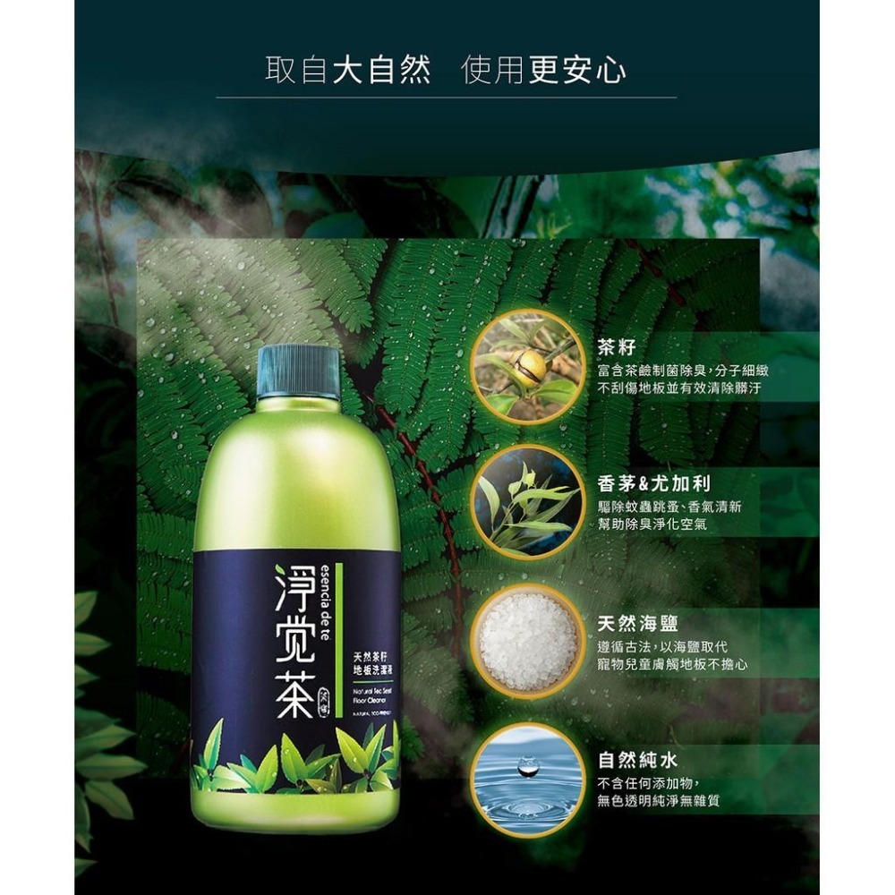 茶寶 淨覺茶🌱天然茶籽地板清潔液　500ml【茶籽酵素、植萃精華、不含矽靈、溫和洗淨不刺激】-細節圖4