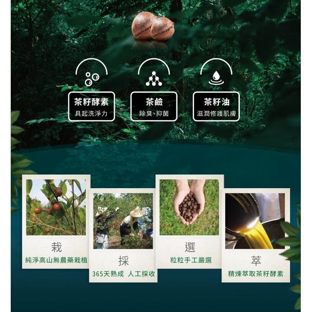 茶寶 淨覺茶🌱天然茶籽洗衣素【超取限重注意】【茶籽酵素、自然皂素、分解髒污、溫和潔淨不刺激、SGS合格】-細節圖3