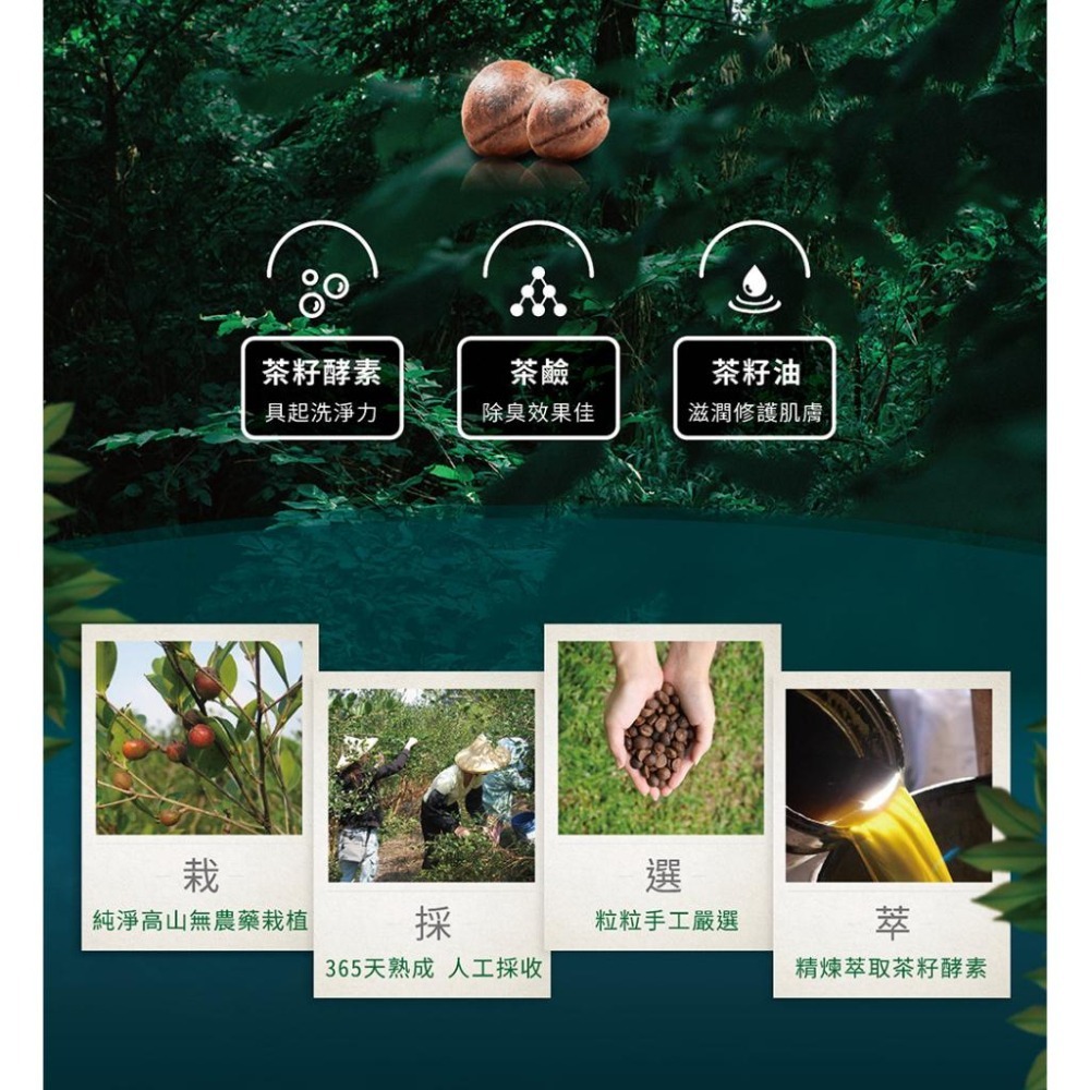 茶寶 淨覺茶🌱天然茶籽蔬果碗盤洗潔液補充包【18入/箱】700ml【茶籽酵素、自然皂素、分解髒污、溫和潔淨不刺激、SG-細節圖4