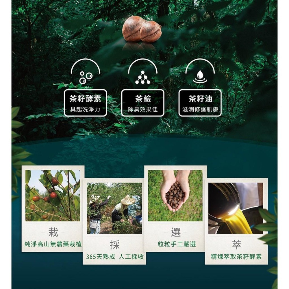 茶寶 淨覺茶🌱天然茶籽蔬果碗盤洗潔液【12入/箱】800ml【茶籽酵素、自然皂素、分解髒污、溫和潔淨不刺激、SGS合格-細節圖3