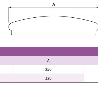 好商量~PHILIPS 飛利浦 LED 10W 17W 若欣 CL200 吸頂燈 全電壓 保固一年 陽台燈 浴室燈-細節圖3