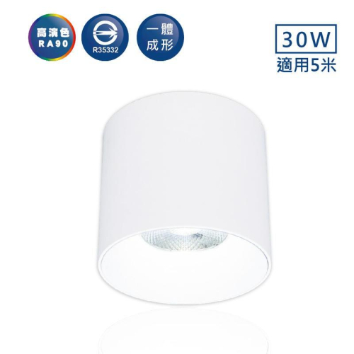 新莊好商量~舞光 LED 30W 神盾筒燈 LED-CEA30D 含稅 6500K/4000K/3000K 全電壓