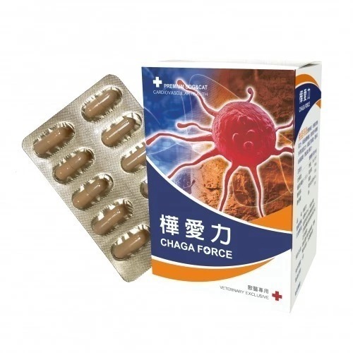 Jiamao家貓-【樺愛力】CHAGA FORCE （60顆）（公司貨）-細節圖2