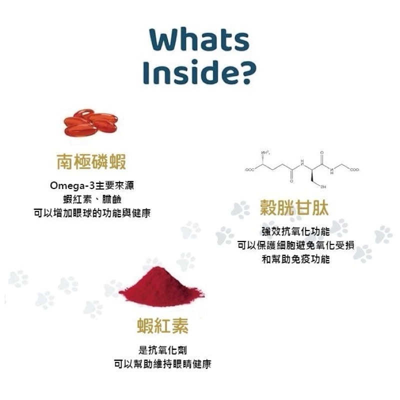 Jiamao家貓-【OcluVet歐可明】 Vision Chews口嚼錠（公司貨）-細節圖4