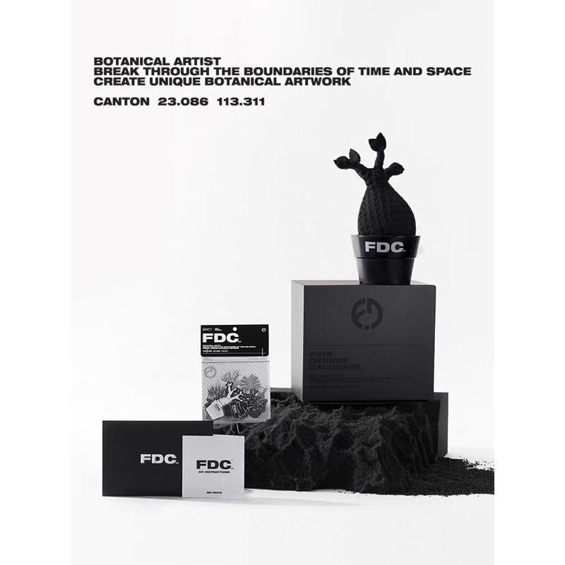 《4AM寅選》FDC LAB 象牙宮布偶 部份現貨速發 潮流 擺件 潮玩 擺飾 藝術品 龍舌蘭 塊根植物 潮流植物-細節圖5