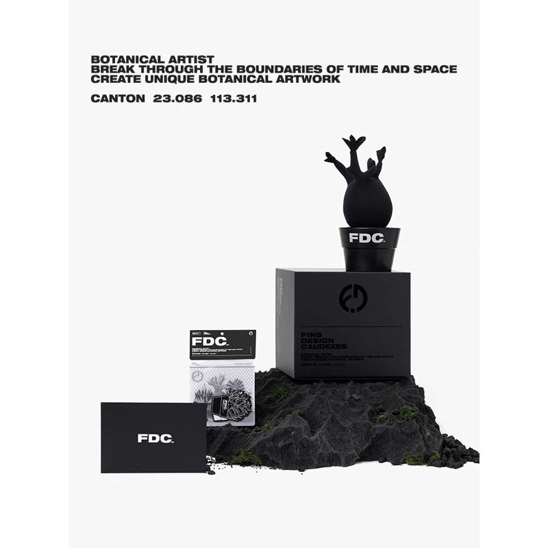 《4AM寅選》FDC LAB 象牙宮布偶 部份現貨速發 潮流 擺件 潮玩 擺飾 藝術品 龍舌蘭 塊根植物 潮流植物-細節圖7