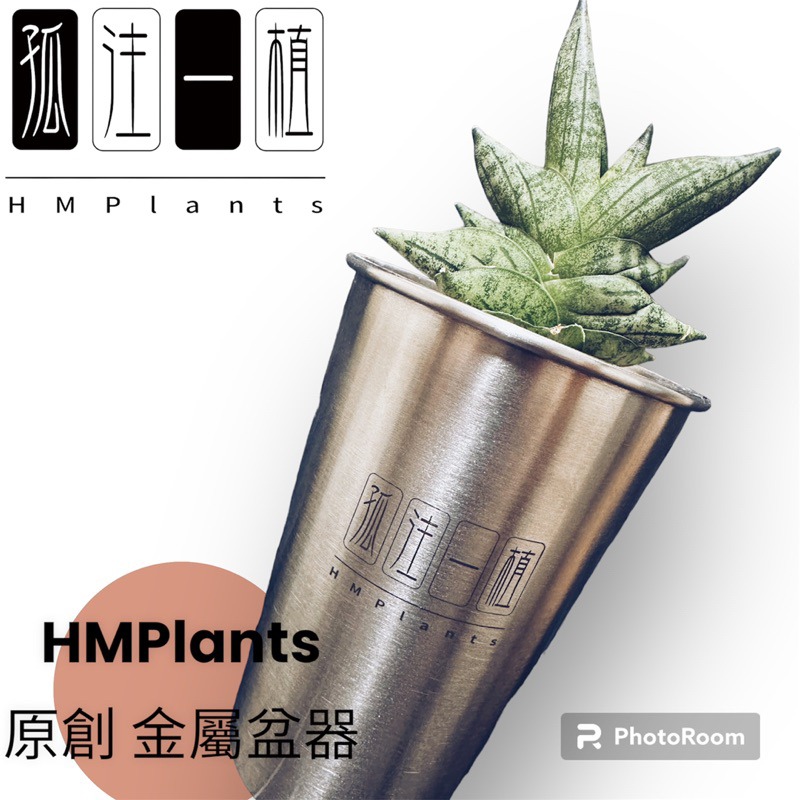 『HMP』 原創 孤注一植 不鏽鋼潮流盆器 HMP 龍舌蘭 塊根 潮流植物 金屬 辦公室 盆栽 花盆 虎尾蘭 仙人掌-細節圖4