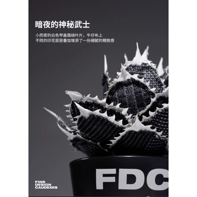 『HMP』 龍舌蘭布偶 FDC 潮流 擺件 潮玩 擺飾 藝術品 手工 裝飾品 塊根植物 潮流植物 仁王冠 Agave-細節圖3