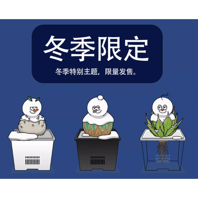 《4AM寅選》 植物托特包 手提袋 惠比須笑 布紋球 龍舌蘭 龍蛇蘭 塊根植物 潮流 植物 潮植 雪人 杜邦紙袋-細節圖4